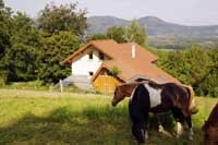 cheval